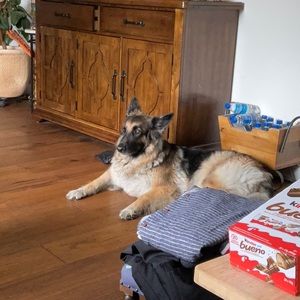 Meet your Posher, Jianping